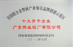 2013十大骨干企业